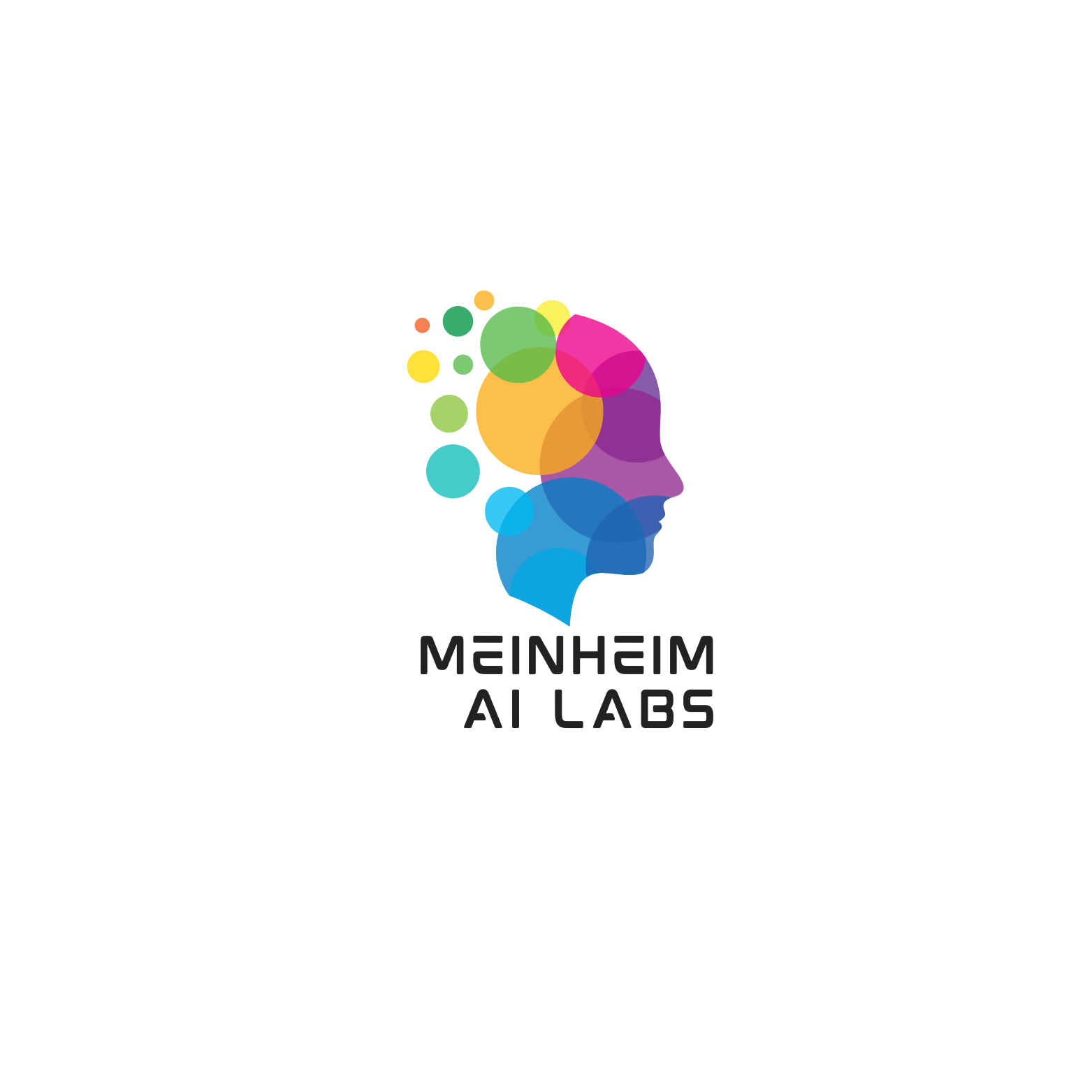 Meinheim AI Labs Logo